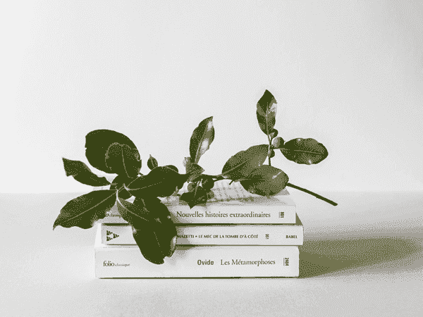 在线手机号轰炸网页版