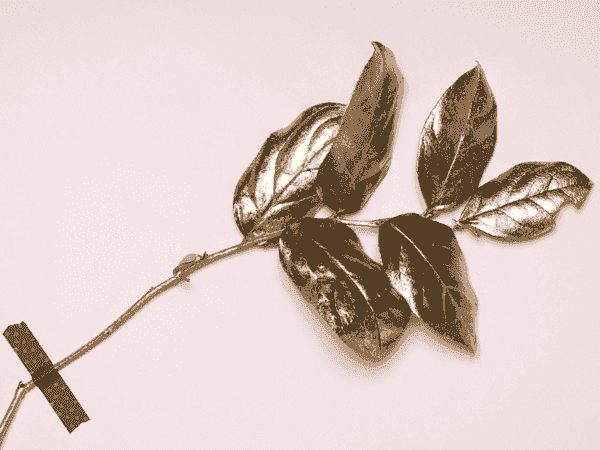 短信轰机轰炸app下载